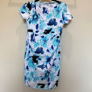 Pinkblush Blue Floral Maternity Dress